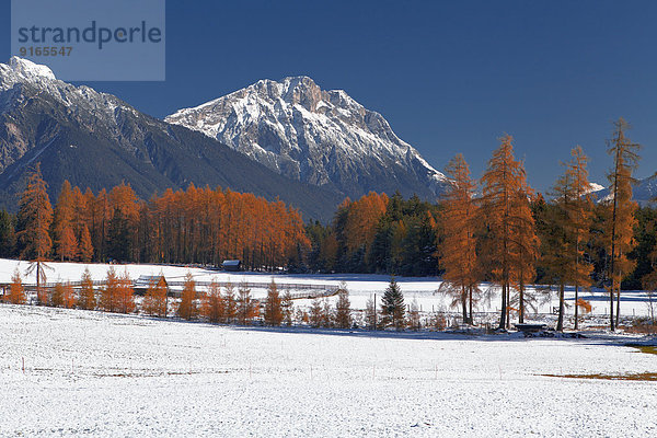 Schnee am Mieminger Plateau  Tirol  Österreich