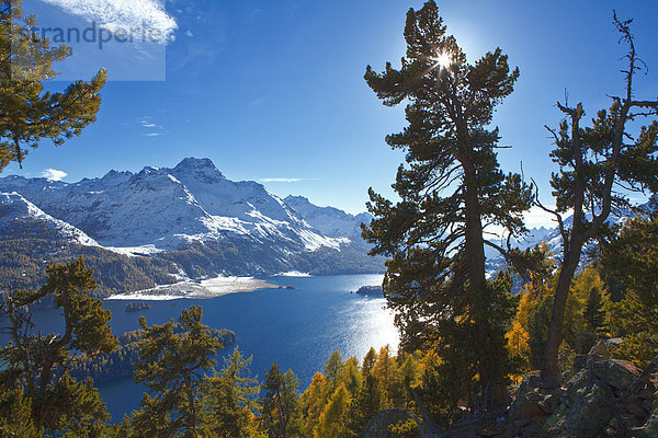 Berglandschaft mit Silsersee  Oberengadin  Schweiz