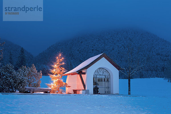 Weihnachtsbaum vor Kapelle im Schnee  Mieminger Plateau  Tirol  Österreich