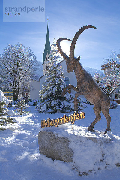 Steinbock-Skulptur in Mayrhofen  Tirol  Österreich