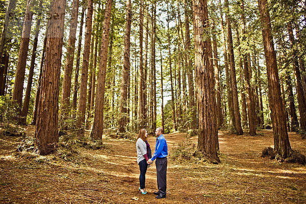 Hispanic couple holding hands in forest