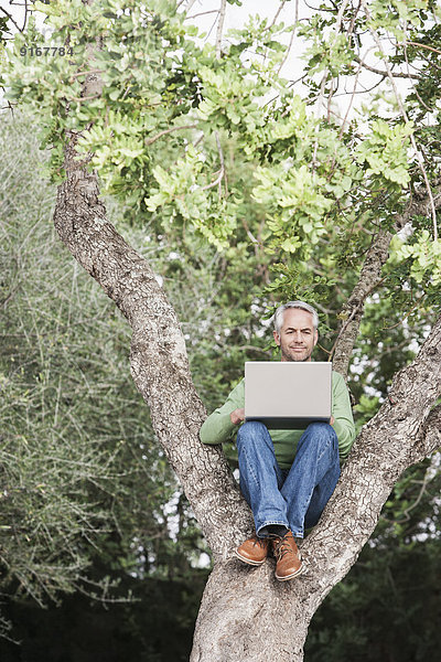 benutzen Mann Notebook Baum