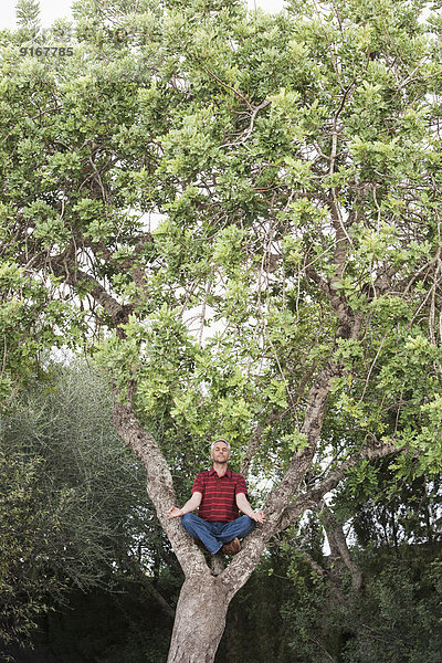 Man meditating in tree