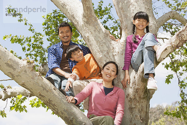 Family climbing tree together