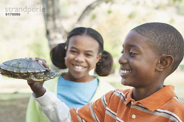 Children examining turtle in park