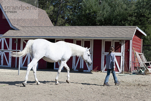 Mixed race girl walking horse on ranch