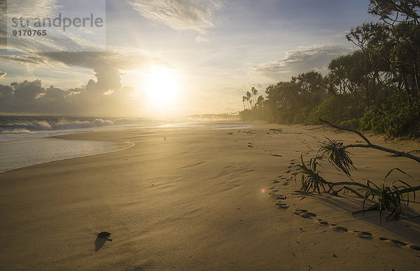 Sri  Lanka  Rekawa sandy beach