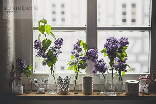 Row of different vases with lilac  Syringa  on window sill