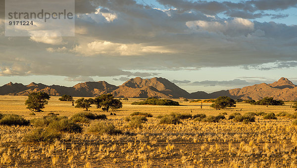 Africa  Namibia  Sossus Vlei  view to landscape with mountains in the background