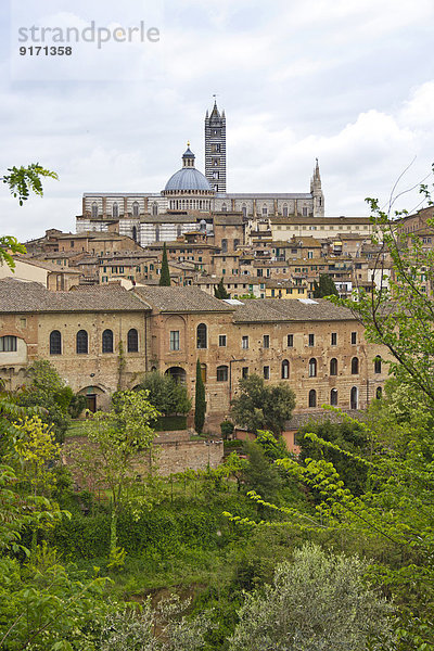 Italien  Toskana  Siena  Blick auf die Kathedrale von Siena
