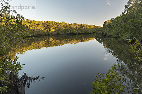 Australia  New South Wales  Pottsville  Cudgera Creek