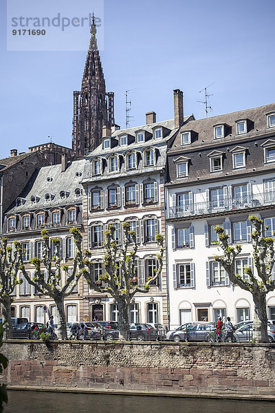 Frankreich  Elsass  Straßburg  Fluss L'ill  Blick auf die Uferpromenade und den Straßburger Domturm