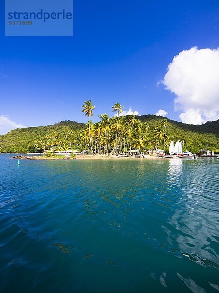 Caribbean  St. Lucia  Sailing yachts in Marigot Bay