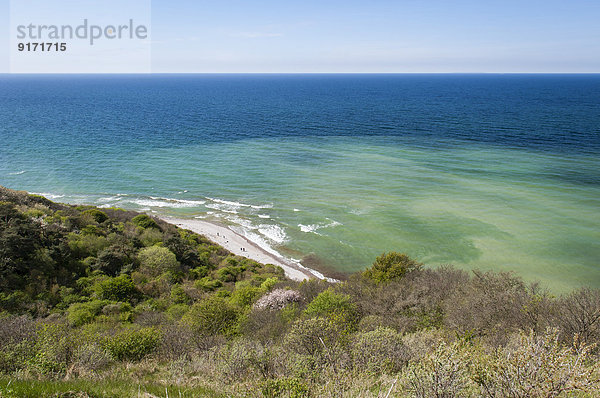 Deutschland  Mecklenburg-Vorpommern  Ostseeküste der Insel Hiddensee