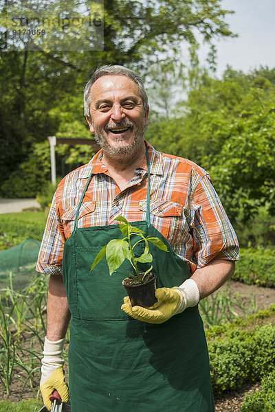 Deutschland  Hessen  Lampertheim  Portrait eines glücklichen Gärtners mit Topfpflanze