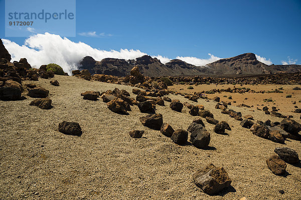 Spain  Canary Islands  Tenerife  Teide National Park  Volcanic landscape  Plateau