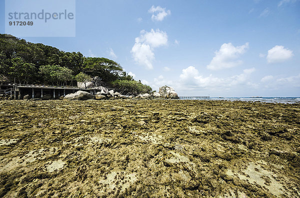 Indonesia  Riau Islands  Bintan  Nikoi Island  Beach with granite rocks an coral reef