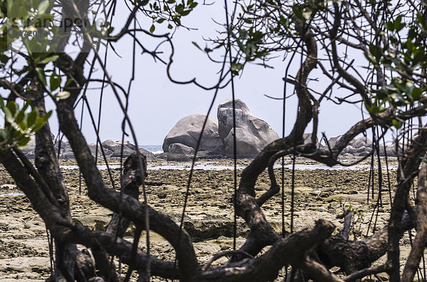 Indonesia  Riau Islands  Bintan  Nikoi Island  View of rocks through branches