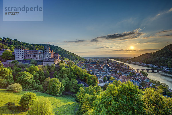 Germany  Heidelberg  Heidelberg Castle and Neckar River