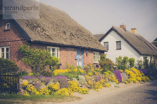 Deutschland  Mecklenburg-Vorpommern  Rügen  Landhaus und blühende Blumen