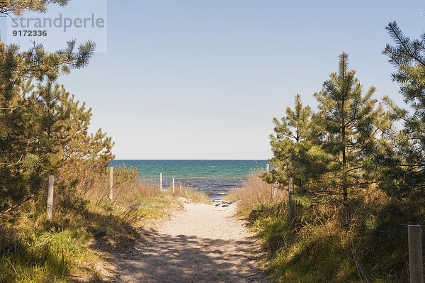 Germany  Mecklenburg-Western Pomerania  Ruegen  Beach path at Schaabe