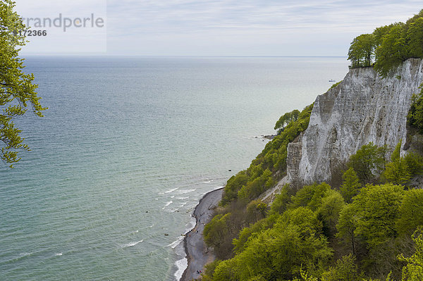 Germany  Mecklenburg-Western Pomerania  Ruegen  Jasmund National Park  Chalk coast at Koenigsstuhl