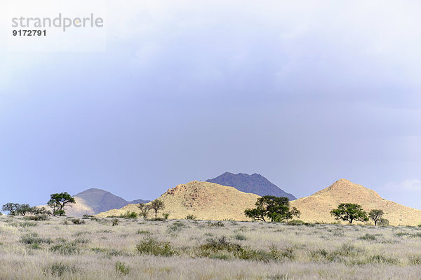 Africa  Namibia  Namib-Naukluft National Park  Mountains  Veld