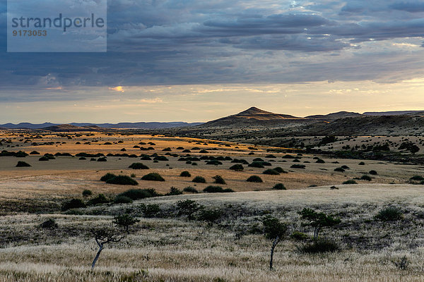 Africa  Namibia  Damaraland  sunset over landscape