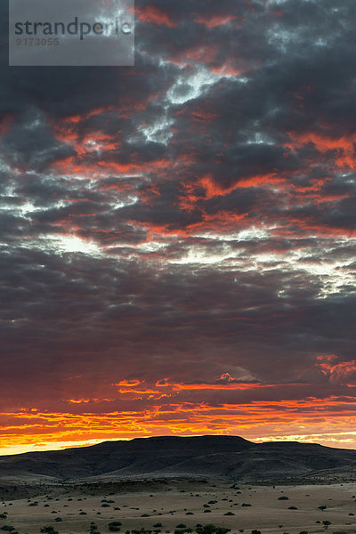 Africa  Namibia  Damaraland  dramatic sky at sunset
