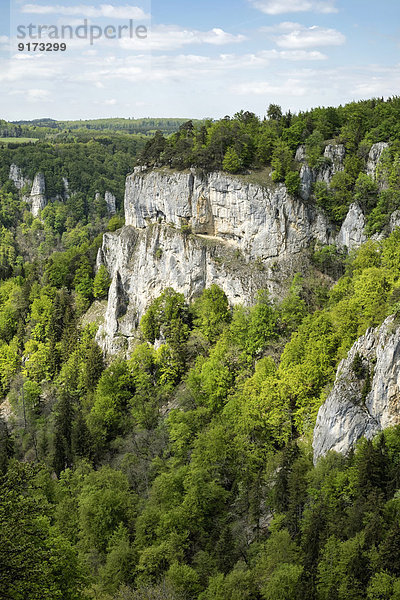 Germany  Baden-Wuerttemberg  Sigmaringen district  view to Jurassic limestone rocks at Upper Danube Valley