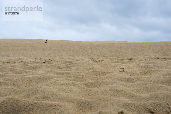 Frankreich  Aquitanien  Gironde  Pyla sur Mer  Dune du Pilat  Laufjunge auf einer wüstenartigen Sanddüne