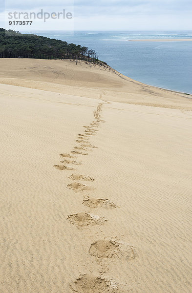 France  Aquitaine  Gironde  Pyla sur Mer  Dune du Pilat  track of footprints in the sand