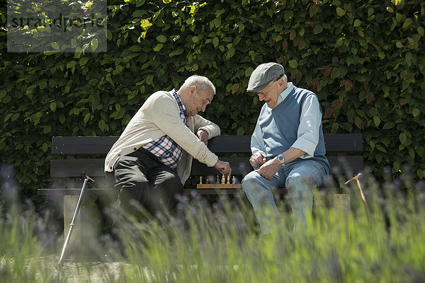 Zwei alte Freunde sitzen auf der Parkbank und spielen Schach.