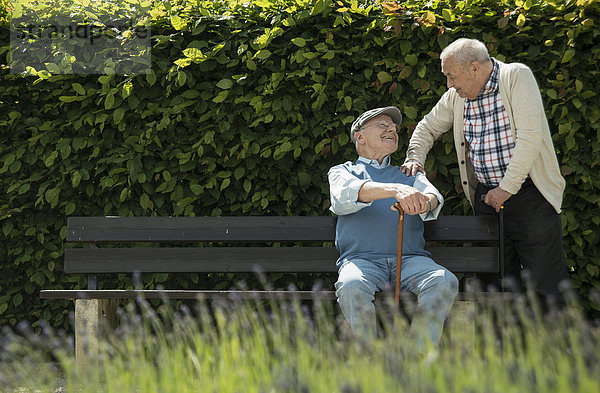 Zwei alte Freunde kommunizieren im Park