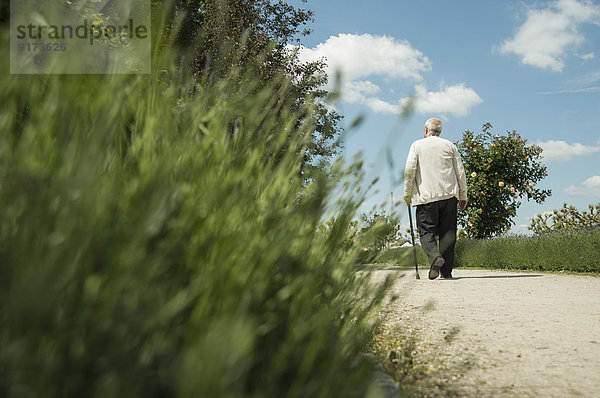 Deutschland  Worms  Zwei alte Freunde beim Spaziergang im Park