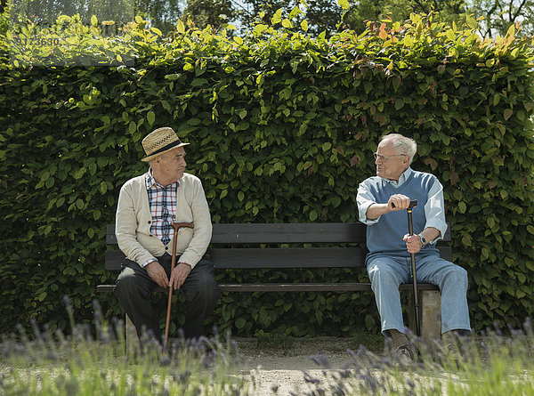 Deutschland  Worms  Zwei alte Freunde sitzen auf der Bank im Park