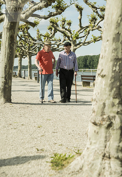 Deutschland  Rheinland-Pfalz  Worms  zwei alte Freunde auf der Rheinuferpromenade