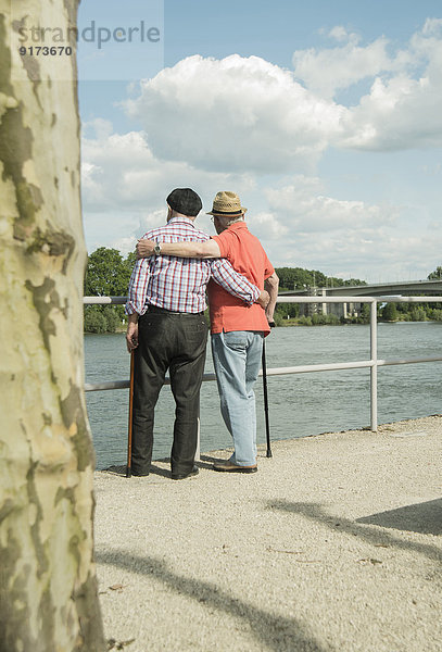 Deutschland  Rheinland-Pfalz  Worms  zwei alte Männer stehen Arm in Arm mit Blick auf den Rhein  Rückansicht