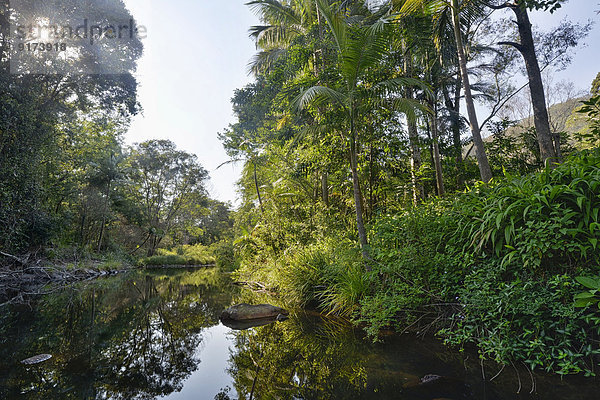 Australia  New South Wales  Wanganui  Coopers Creek  waterhole with rocks and vegetation