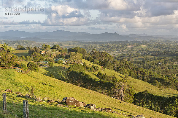 Australia  New South Wales  Byron Bay  early morning view over hilly farmland to the Nightcap national park