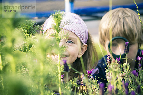 Geschwister beobachten Blumen mit Lupe