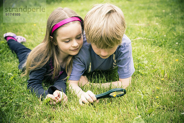 Bruder und Schwester liegen auf der Wiese und beobachten Blumen mit Lupe.
