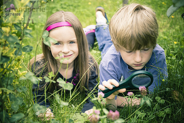 Bruder und Schwester liegen auf der Wiese und beobachten Blumen mit Lupe.