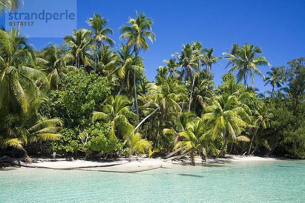 Micronesia  Palau  Peleliu  lagoon with palm-lined beach