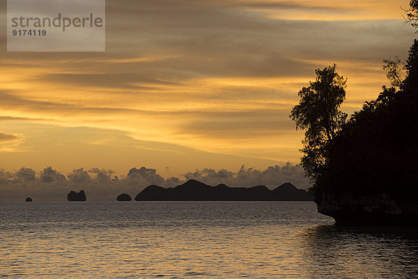 Micronesia  Palau  tropical island in evening light