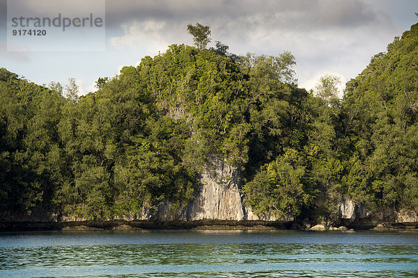 Micronesia  Palau  rocky coastline