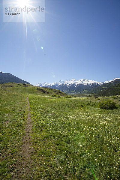 Italy  South Tyrol  Mals  Tartscher Buehel  Hiking path