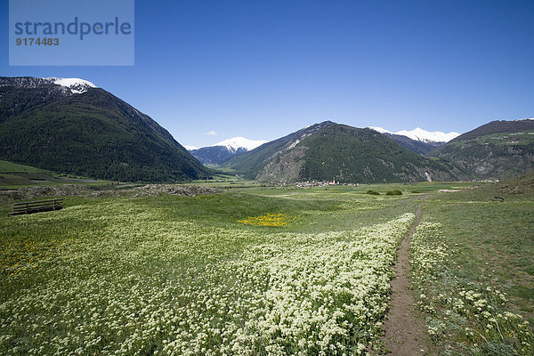 Italy  South Tyrol  Mals  Tartscher Buehel  Hiking path