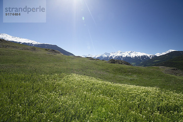 Italy  South Tyrol  Mals  Tartscher Buehel  View to Ortler Alps