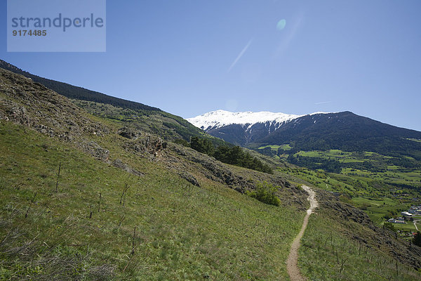 Italy  South Tyrol  Mals  Tartscher Buehel  Hiking path